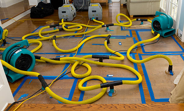 Professional Flood Damage Restoration technician working in Nicholson, GA